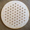 Flower of Life Dotted - Dotted Flower of Life 