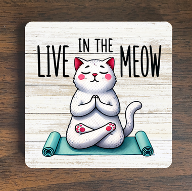 Live in the Meow Magnet
