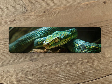 Serpent Tarot Card Holder - Oracle Card Holder - Snake Tarot Card Holder